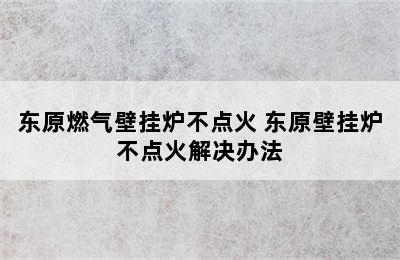 东原燃气壁挂炉不点火 东原壁挂炉不点火解决办法